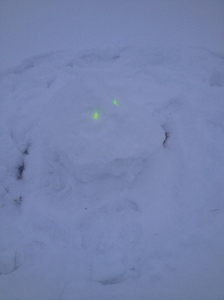 One lonely snowghost.